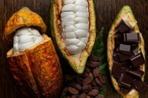 Unlocking Rich Chocolate Flavors The Role of Cocoa Bean Microbiota