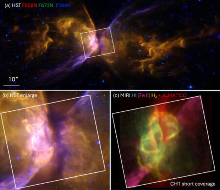 Webb Discovers Dust and Organic Torus in the Butterfly Nebula