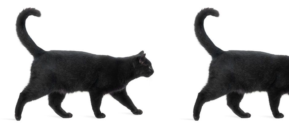 What Déjà Vu (or Its Absence) Reveals About Your Brain Health What Deja Vu or Its Absence Reveals About Your Brain