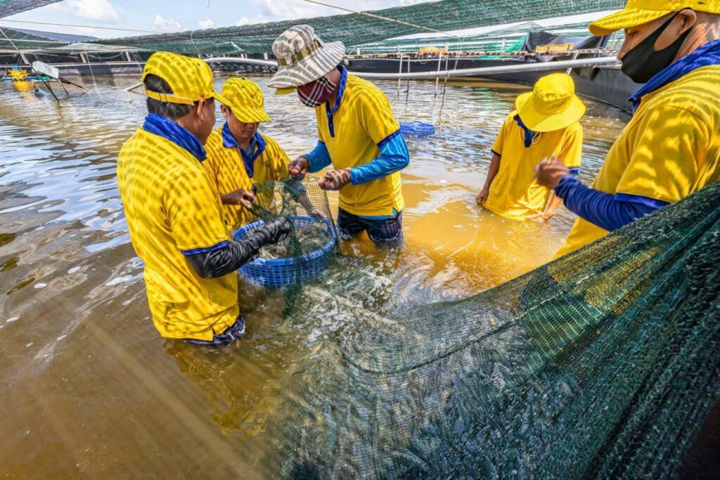 What is Required to Rebuild Economics with Nature at its