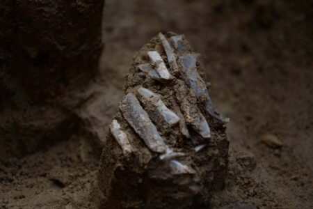 30000 Years Ago A Toolkit Reveals the Contents of Ancient