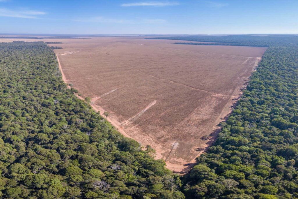 Amazon Deforestation Leads to Severe Rain Wind and Heat Events
