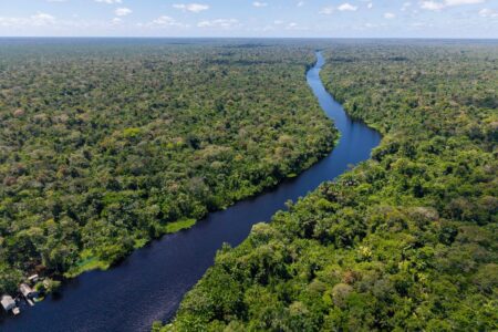 Amazons Deforestation Surges at Alarming Rates Nearing a Critical Tipping