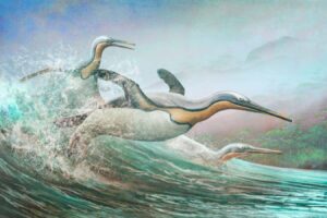 Ancient Penguins May Have Used Sharp Beaks to Impale Their