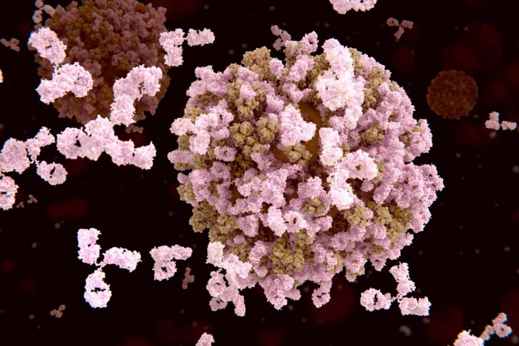 Antibody Cocktails Could Serve as a Universal Treatment for Influenza