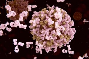 Antibody Cocktails Could Serve as a Universal Treatment for Influenza