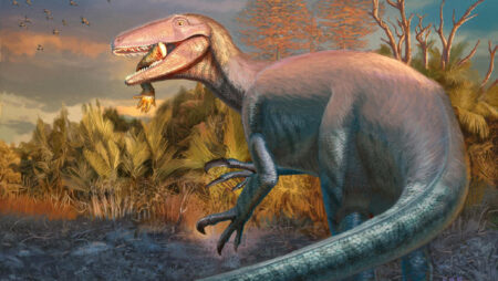 Discovery of a New Carnivorous Dinosaur Species in Argentina