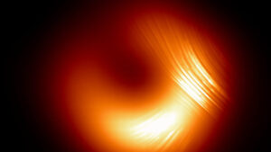 EHT Reveals Changing Polarization Patterns in Black Holes of Messier