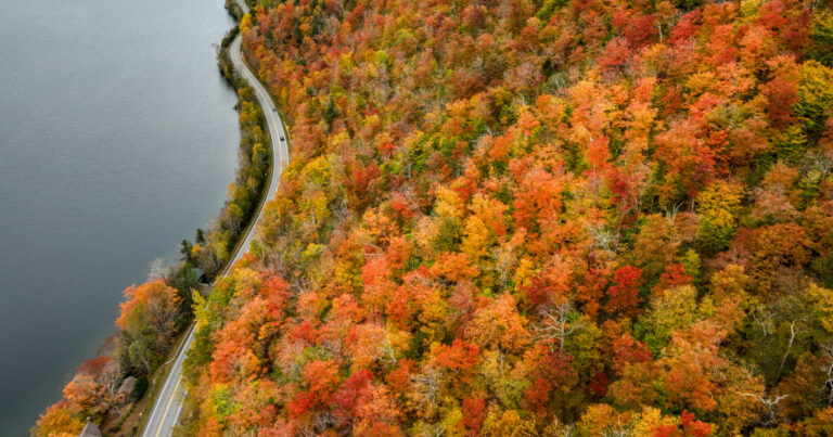 Experts Caution Against Earlier and Shorter Seasons Experts Caution Against Earlier and Shorter Seasons