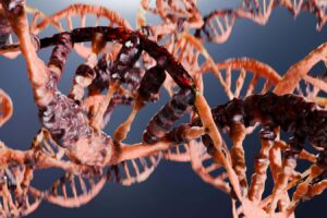 How Fast Does the DNA Repair Leader in Your Cells