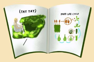 How Taylor Swift Elevates Botany to Celebrity Status