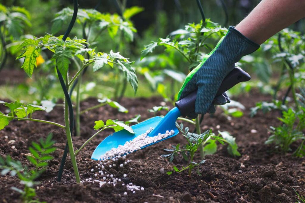 How to Select the Perfect Fertilizer for Your Varied Plants