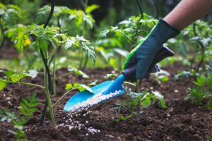 How to Select the Perfect Fertilizer for Your Varied Plants