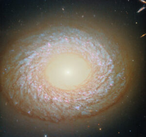 Hubble Space Telescope Reveals Stunning New Images of NGC 2775
