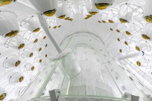 Inside the Worlds Top Dark Matter Detector What Its Really