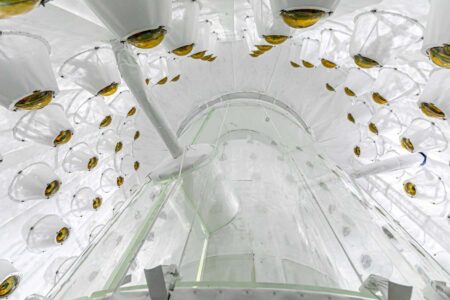 Inside the Worlds Top Dark Matter Detector What Its Really