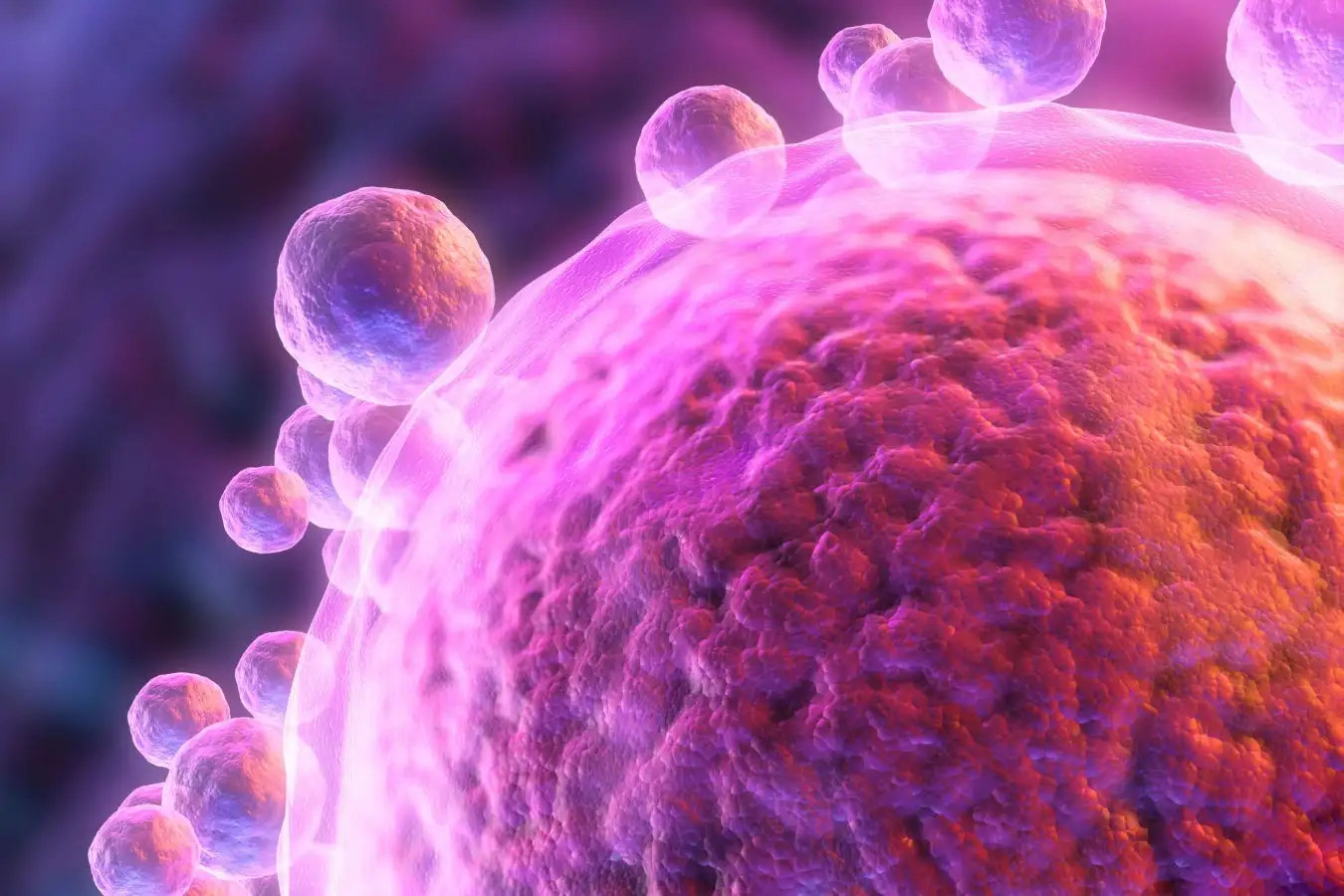 Lab Fertilized Egg Cells Created from Human Skin DNA