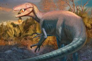 New Species of Dinosaur Discovered Within Crocodile Jaw