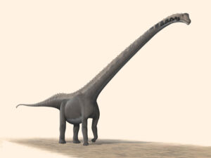 New Species of Herbivorous Dinosaur Discovered