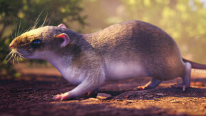 Newly Discovered Extinct Octagonal Rodent Species Unearthed in Amazon Fossils