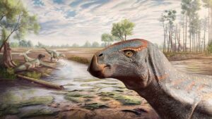Paleontologists Uncover a New Species of Iguanodon Dinosaur