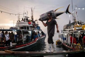 Powerful Image Captures the Hidden Struggles of Southeast Asias Fishing