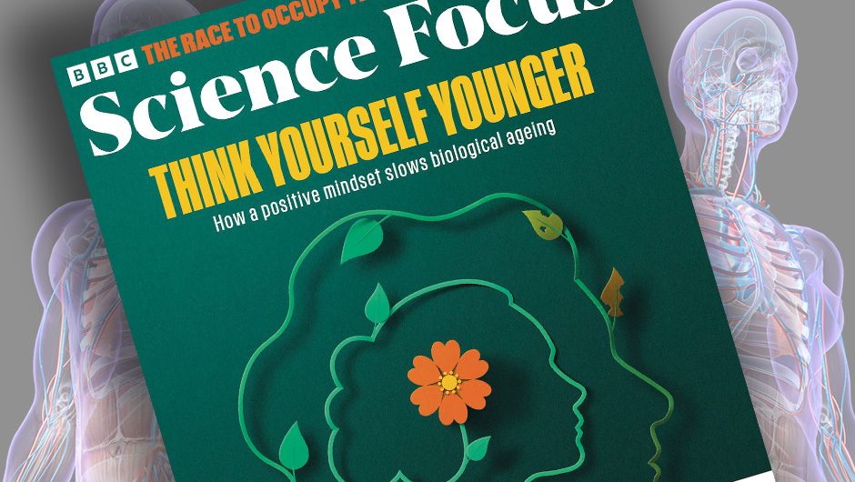 Revisiting Your Younger Self: A New Perspective Revisiting Your Younger Self A New Perspective