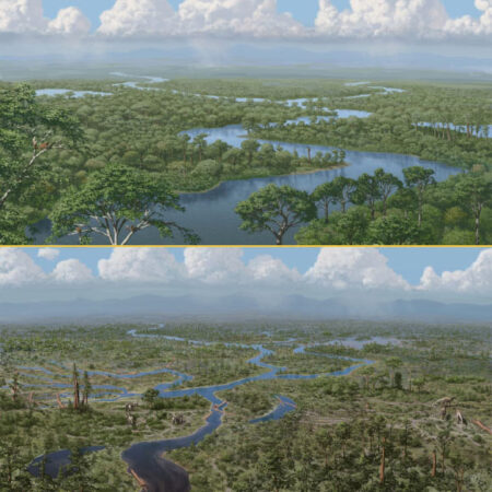 Study Reveals How the Extinction of Non-Bird Dinosaurs Transformed the Landscape Study Reveals How the Extinction of Non Bird Dinosaurs Transformed the