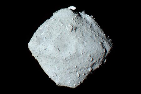 The Asteroid Ryugu Once Harbored Liquid Water