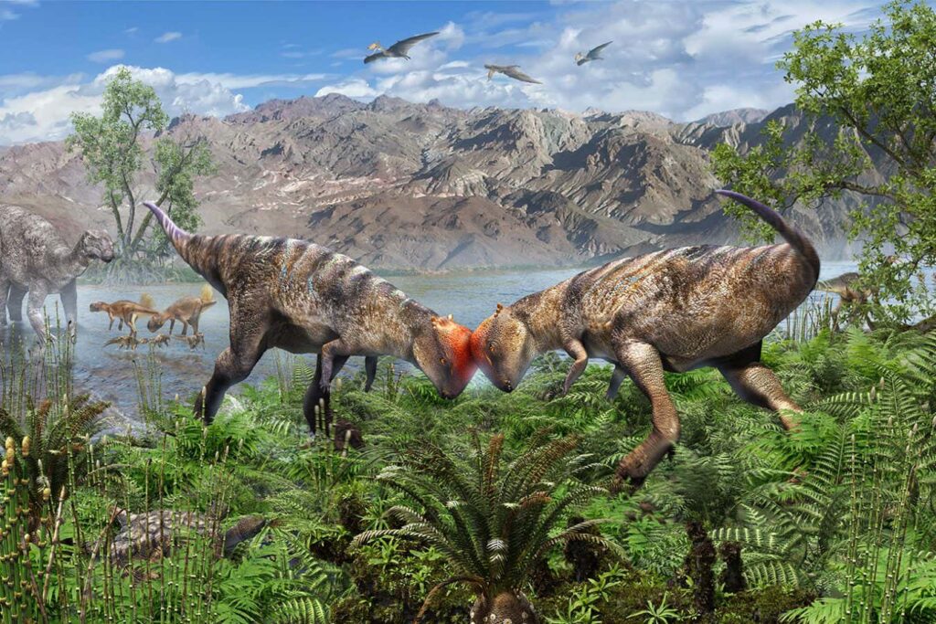 The Earliest Known Dome Headed Dinosaurs of Mongolia