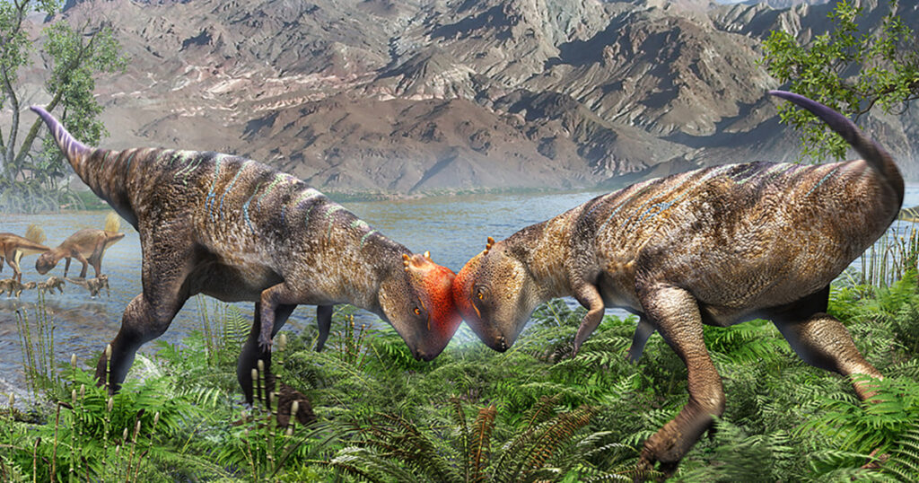 The Most Complete and Ancient Dome Head Dinosaur Fossils Discovered in
