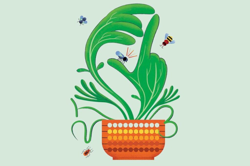 These Plants Exhibit Remarkable Mathematical Abilities These Plants Exhibit Remarkable Mathematical Abilities