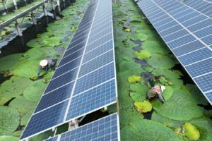 Why Solar Power is the Most Sustainable Energy Source for