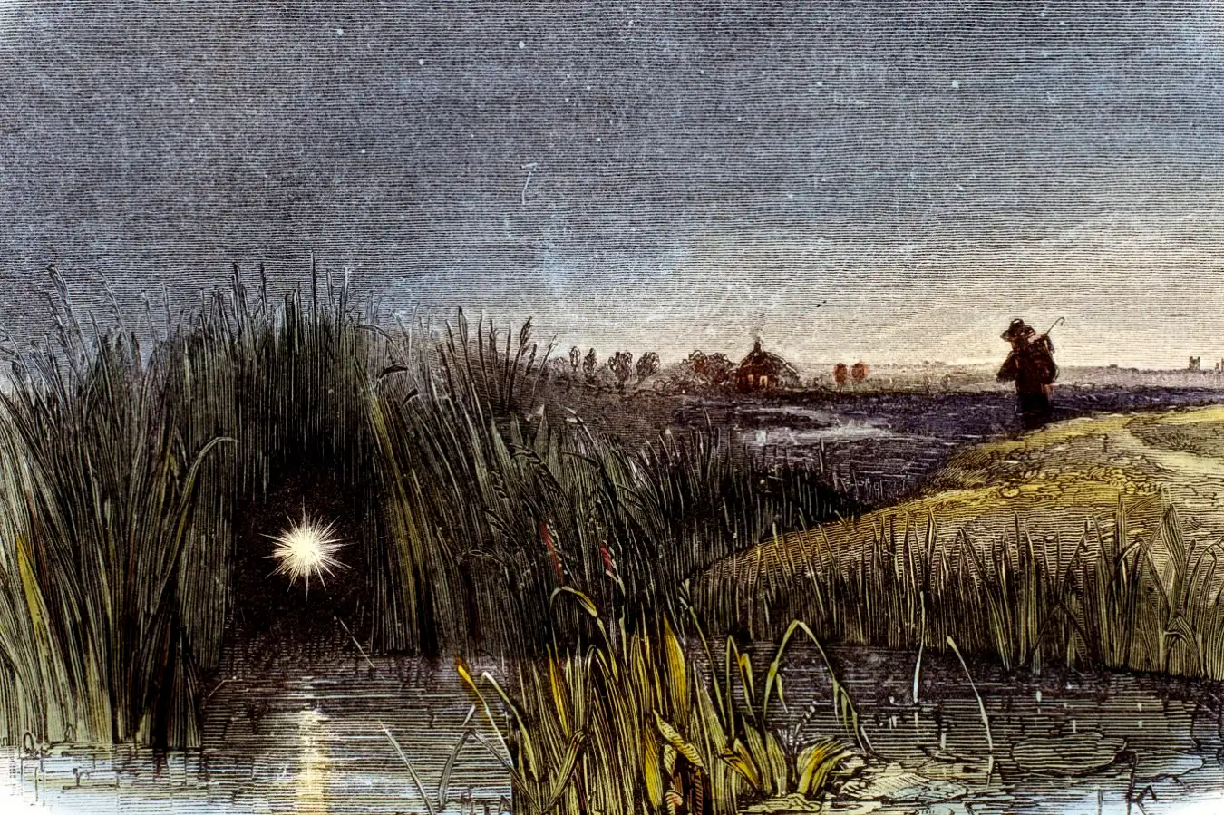 You Might Soon Discover the Origins of Will-O’-the-Wisps You Might Soon Discover the Origins of Will O the Wisps