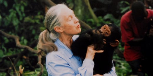 1759342899910 now daily b obit thompson goodall 251001 1920x1080 7zeg2b