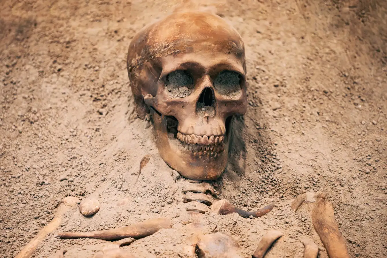 Ancient Lead Exposure Could Have Shaped Brain Evolution