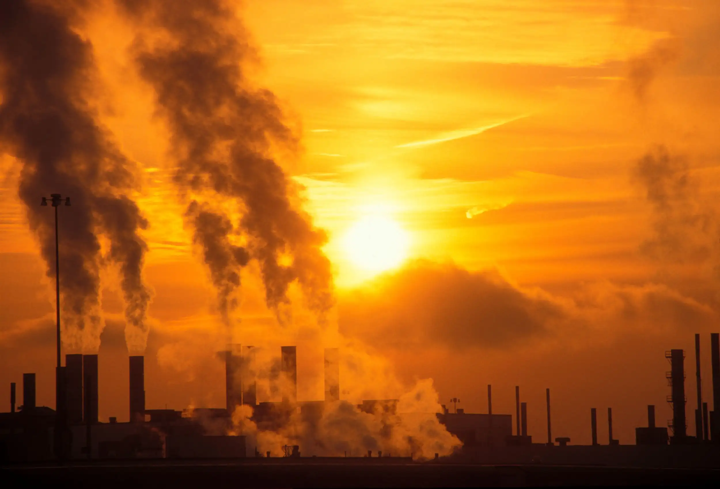 Chris Packham This Isnt Just an Extinction Event—Its Extinction Itself