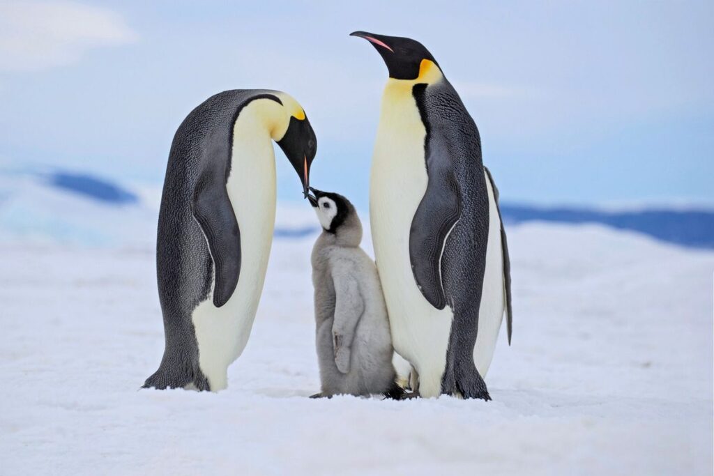 Good Parents and Devoted Partners Enjoy Longer Lives