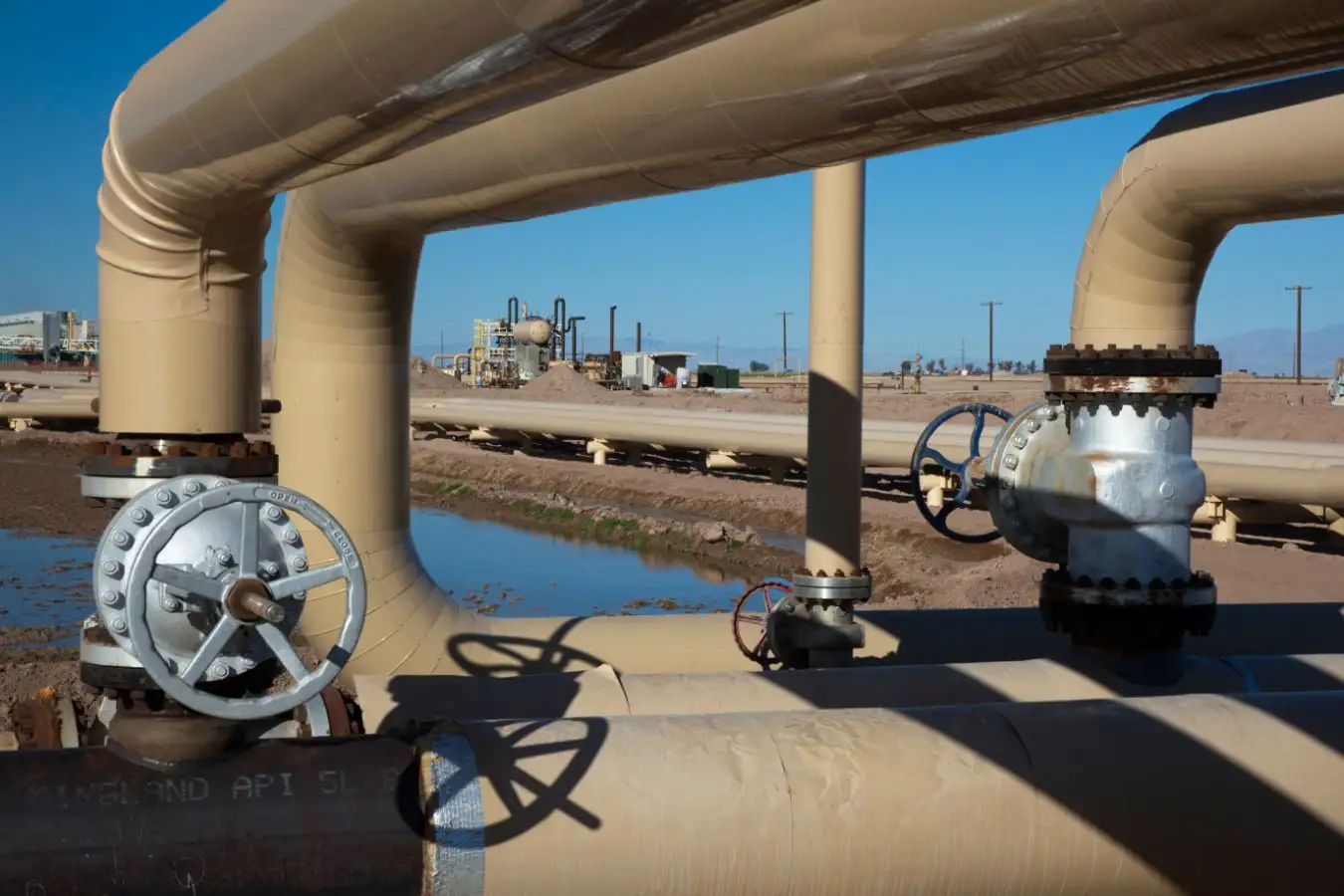 Hannah Ritchie’s Latest Book on Net Zero Offers a Refreshing Perspective Hannah Ritchies Latest Book on Net Zero Offers a Refreshing