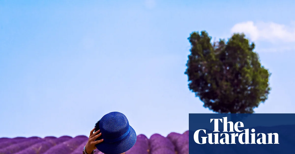 Holiday Horror Airbnb and Bookingcom Users Battle for Refunds Over