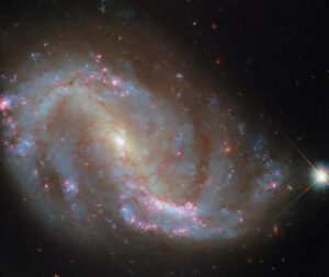 Hubble Captures Stunning Image of Dusty Spiral Galaxy NGC 7496