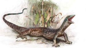 New Jurassic Lizard Species Exhibits Features of Both Snakes and