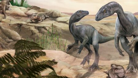 Paleontologists Uncover New Long Necked Dinosaur Species from the Triassic Era