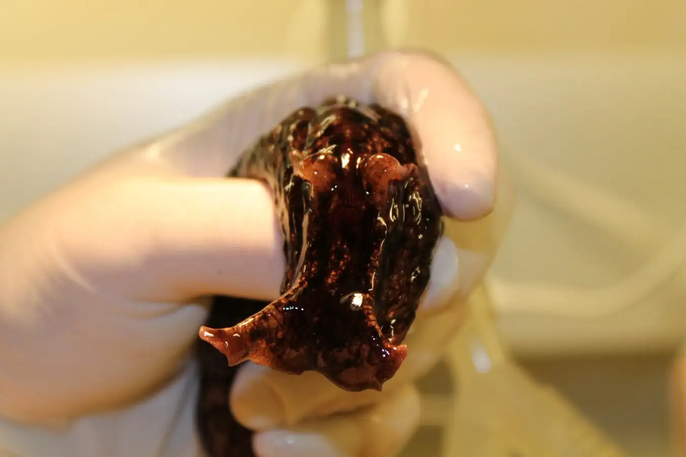 Review of One Hand Clapping A Thought Provoking Exploration of Consciousness