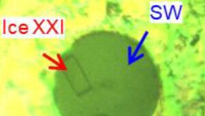 Unveiling a New Ice Phase Ice XXI