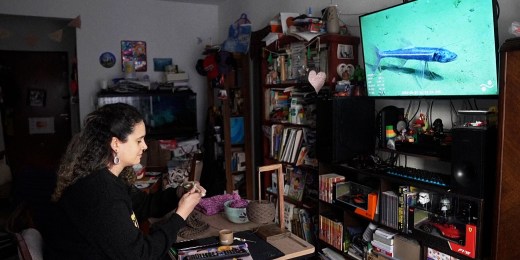 argentina livestream zjkwhr