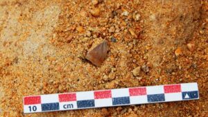 Archaeologists Unearth 275 Million Year Old Stone Tools in Kenya
