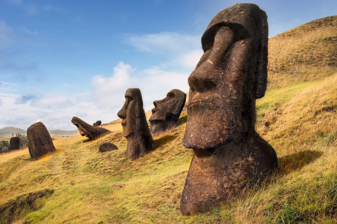 Easter Island Statues Possibly Built by Independent Small Groups
