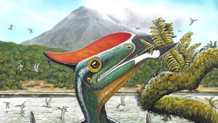 Fossils Uncover First Evidence of Herbivorous Pterosaurs