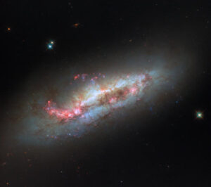 Hubble Captures Bizarre Spiral Galaxy NGC 1511